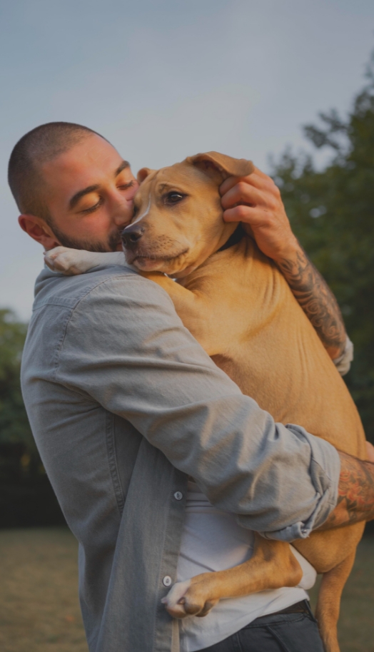 Pet friendly